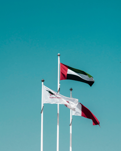 UAE flags