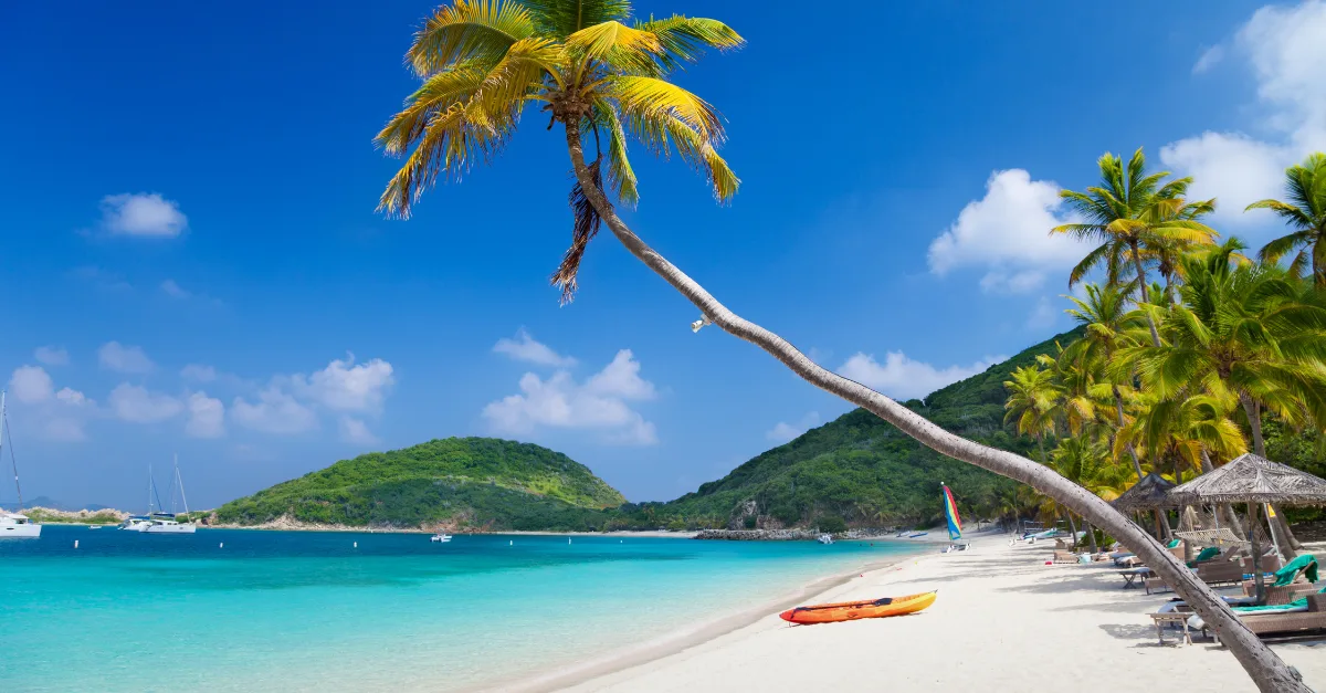 Business Setup In An Offshore Jurisdiction